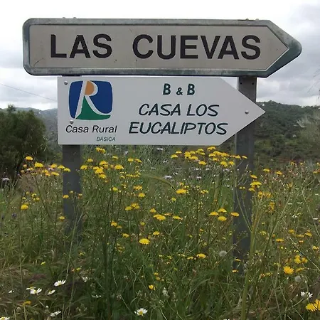 Casa Los Eucaliptos Nocleg ze śniadaniem Comares