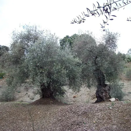 Casa Los Eucaliptos Nocleg ze śniadaniem 3*